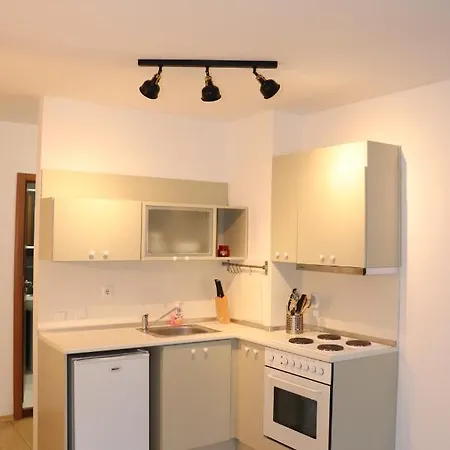 50m From Piste 1 Bedroom In Predela 2 Lejlighed Bansko